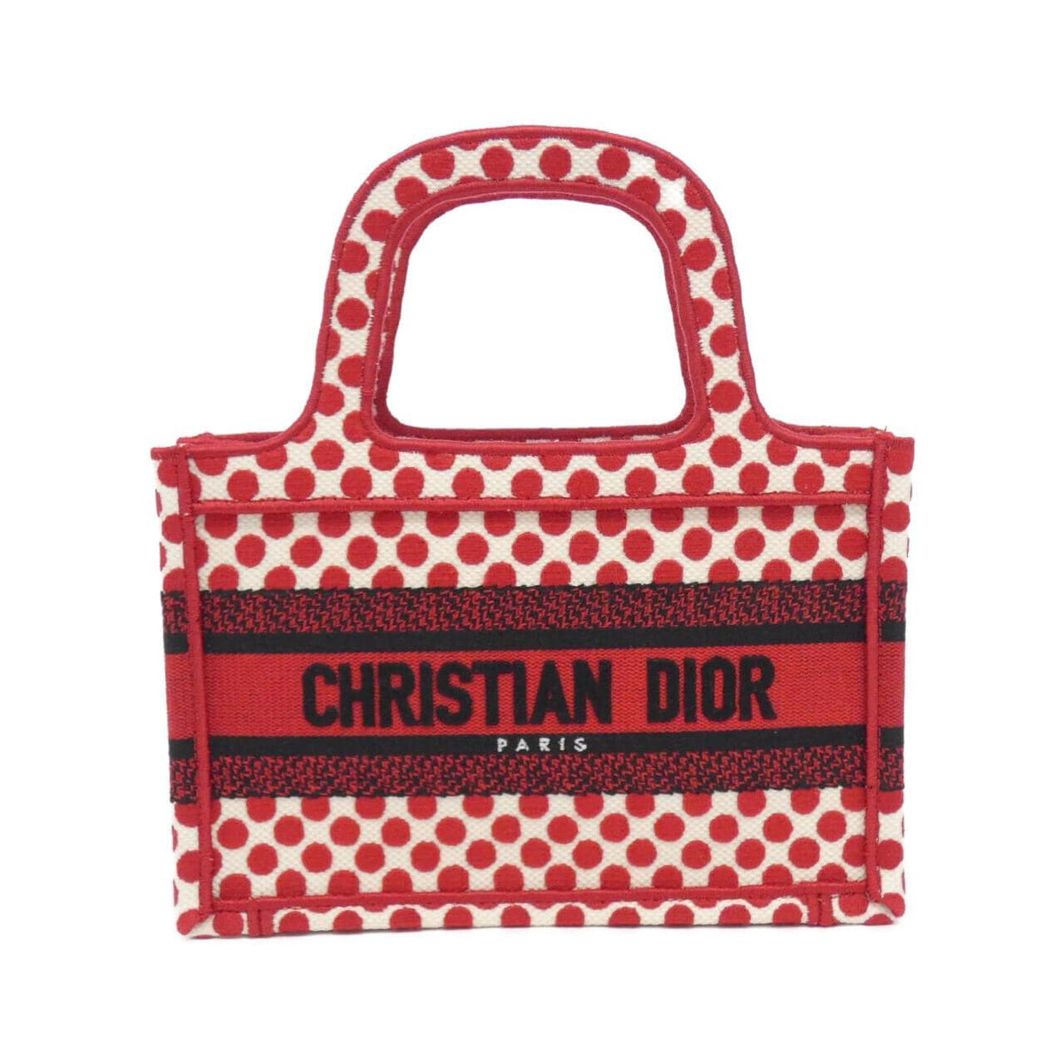 Dior Mini Canvas Handbag